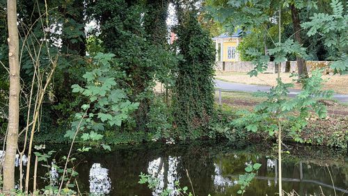 Das kleine Gewässer zwischen Mühlkanal und Tauberwehr wird ausgebaggert.