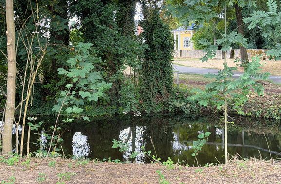 Das kleine Gewässer zwischen Mühlkanal und Tauberwehr wird ausgebaggert.