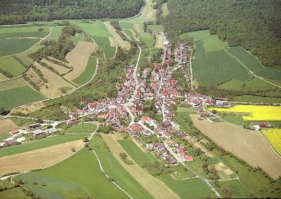 Blick über Apfelbach