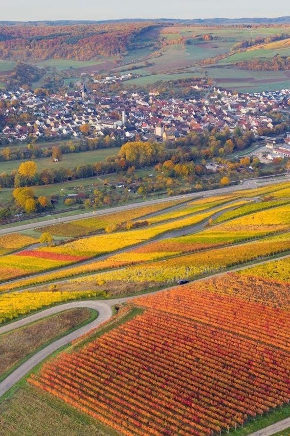 Weinberge Markelsheim