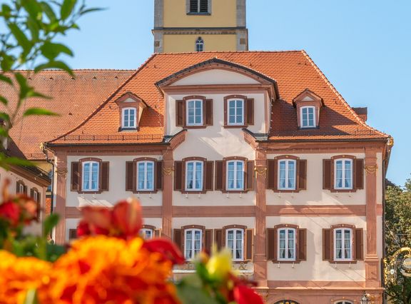 Zwillingshaus mit Münster