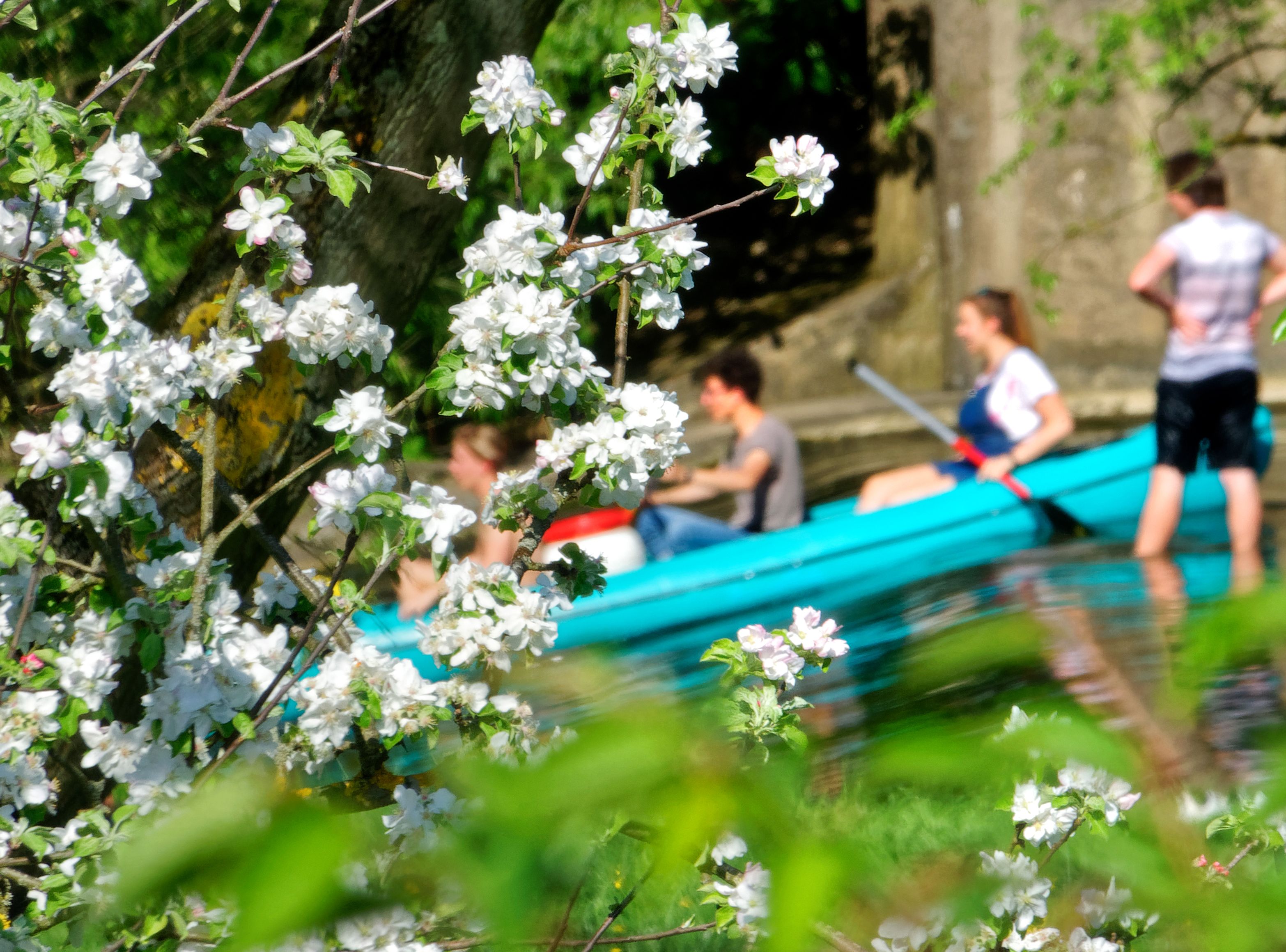 Kajaktour mit Blüten