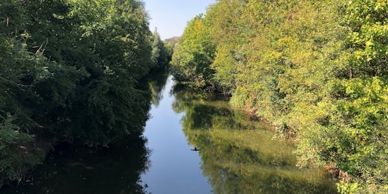 Tauber-Aue