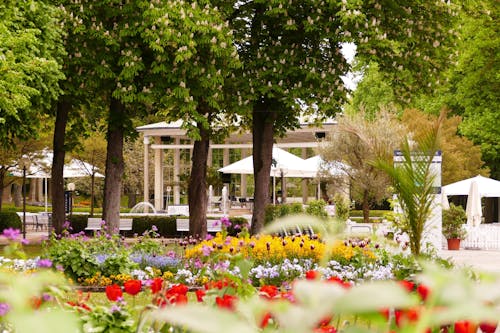 Kurpark Bad Mergentheim