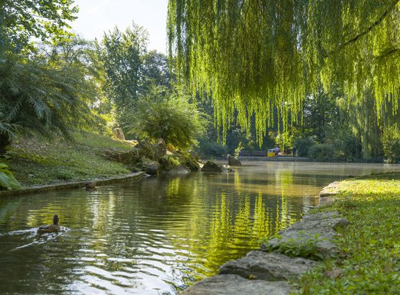 Schlosspark