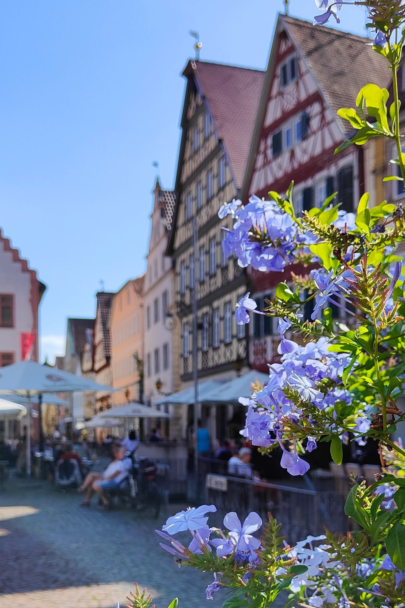 Willkommen in Bad Mergentheim