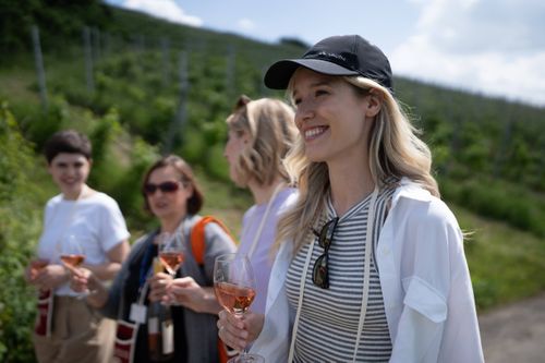 Weinwanderungen Liebliches Taubertal