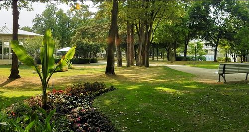 Kurpark Bad Mergentheim