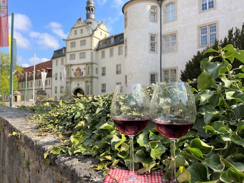 Wild auf Wein und Shopping - Bummeln und genießen in der Altstadt