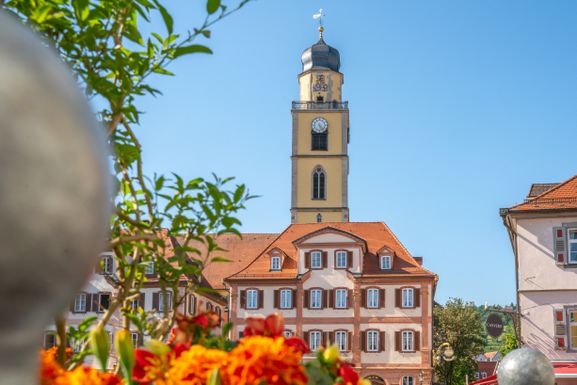 Zwillingshäuser mit Münster