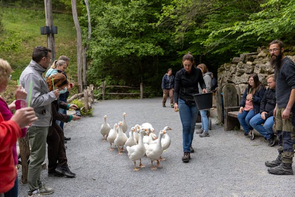 Wildpark für Genießer – eine kulinarische Führung im Herbst