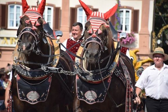 Pferdemarktfestumzug